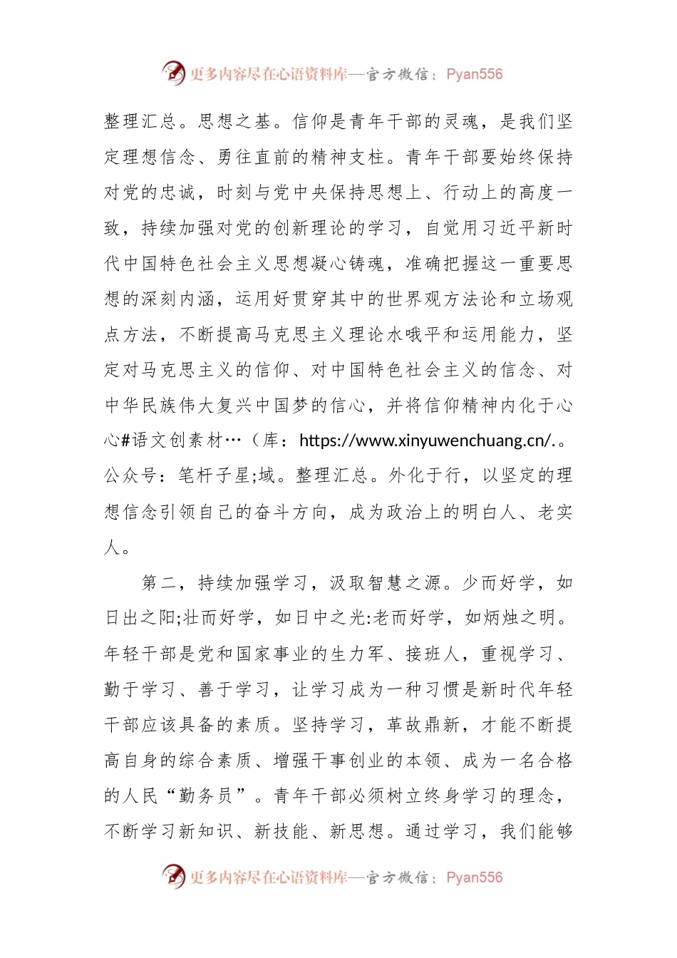在青年干部座谈会上的讲话：年轻干部要练好内功、提升修养.docx_第2页