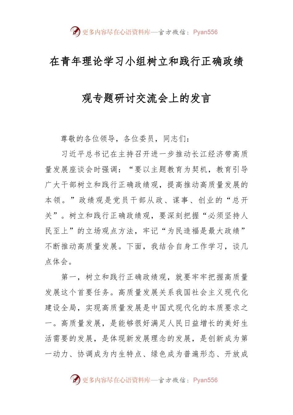 在青年理论学习小组树立和践行正确政绩观专题研讨交流会上的发言.docx_第1页