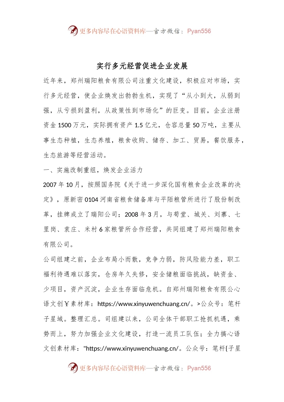 实行多元经营促进企业发展.docx_第1页