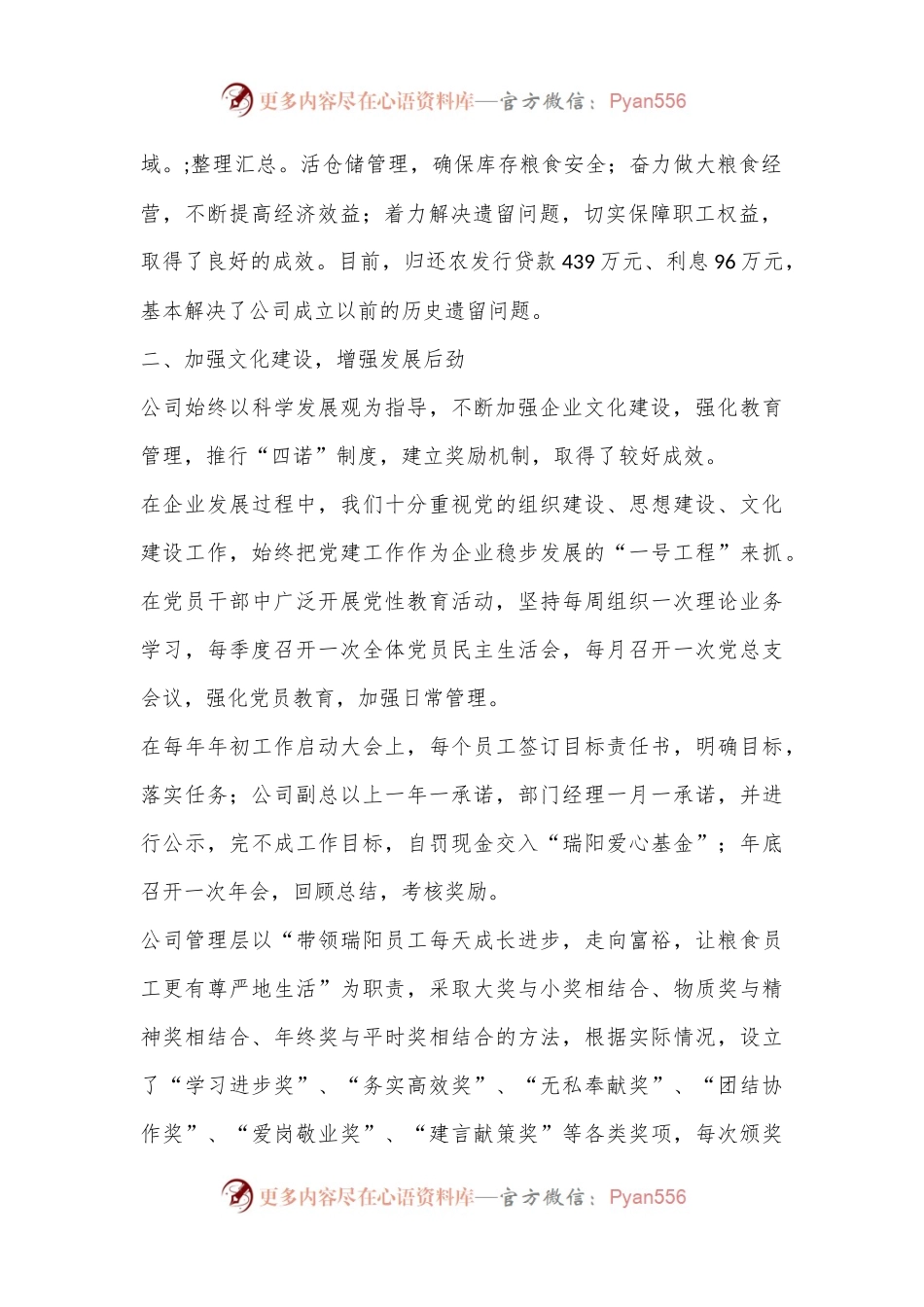 实行多元经营促进企业发展.docx_第2页