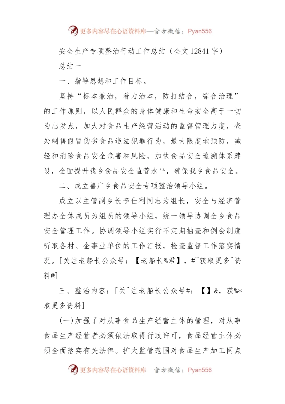 安全生产专项整治行动工作总结.docx_第1页
