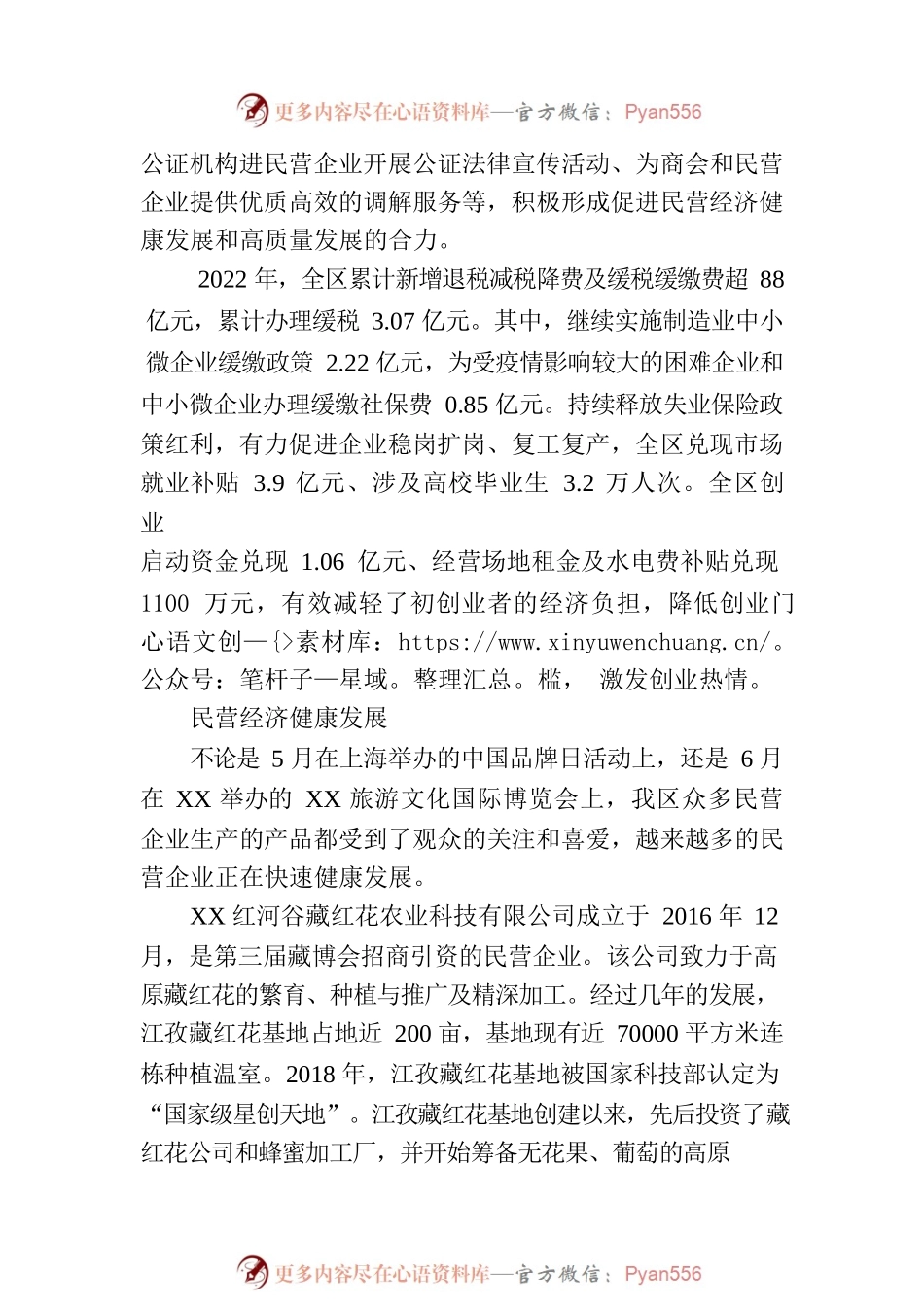 奋楫扬帆逐浪行—XX区民营经济发展综述（20230808）.docx_第2页
