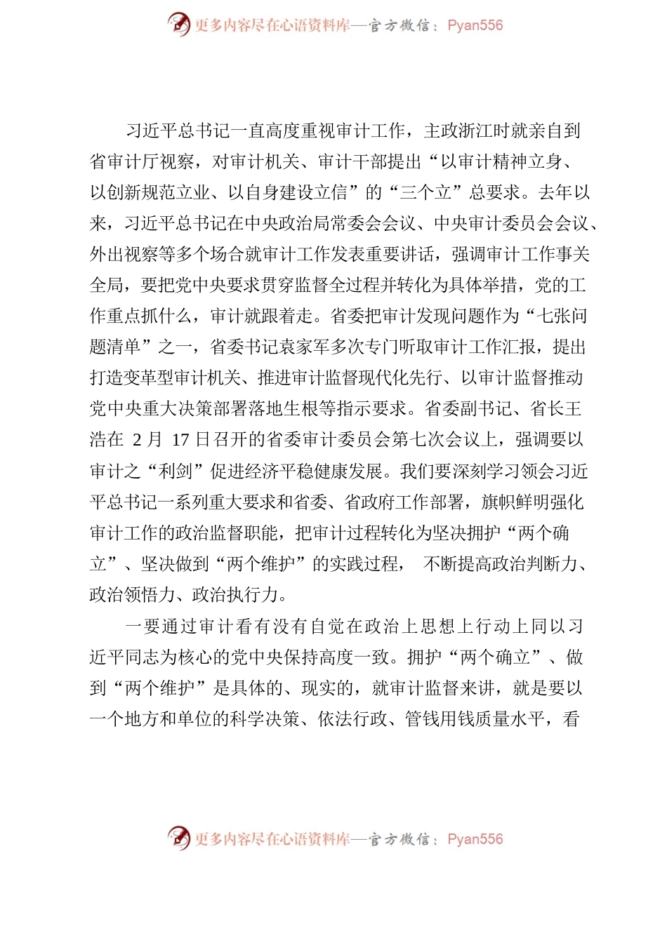 在经济责任审计大会上的讲话.docx_第2页