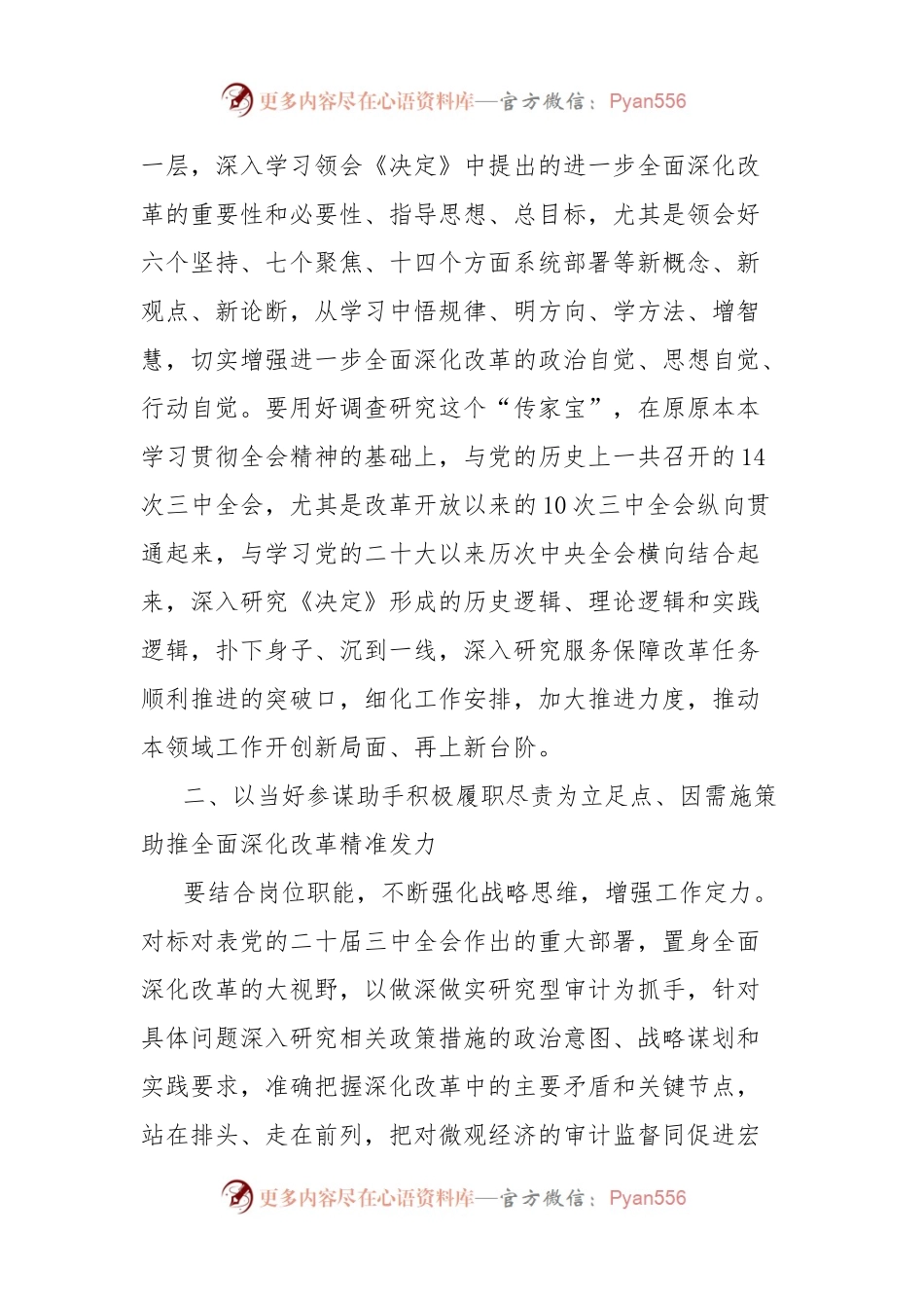 审计局学习党的二十届三中全会精神研讨发言材料.docx_第2页