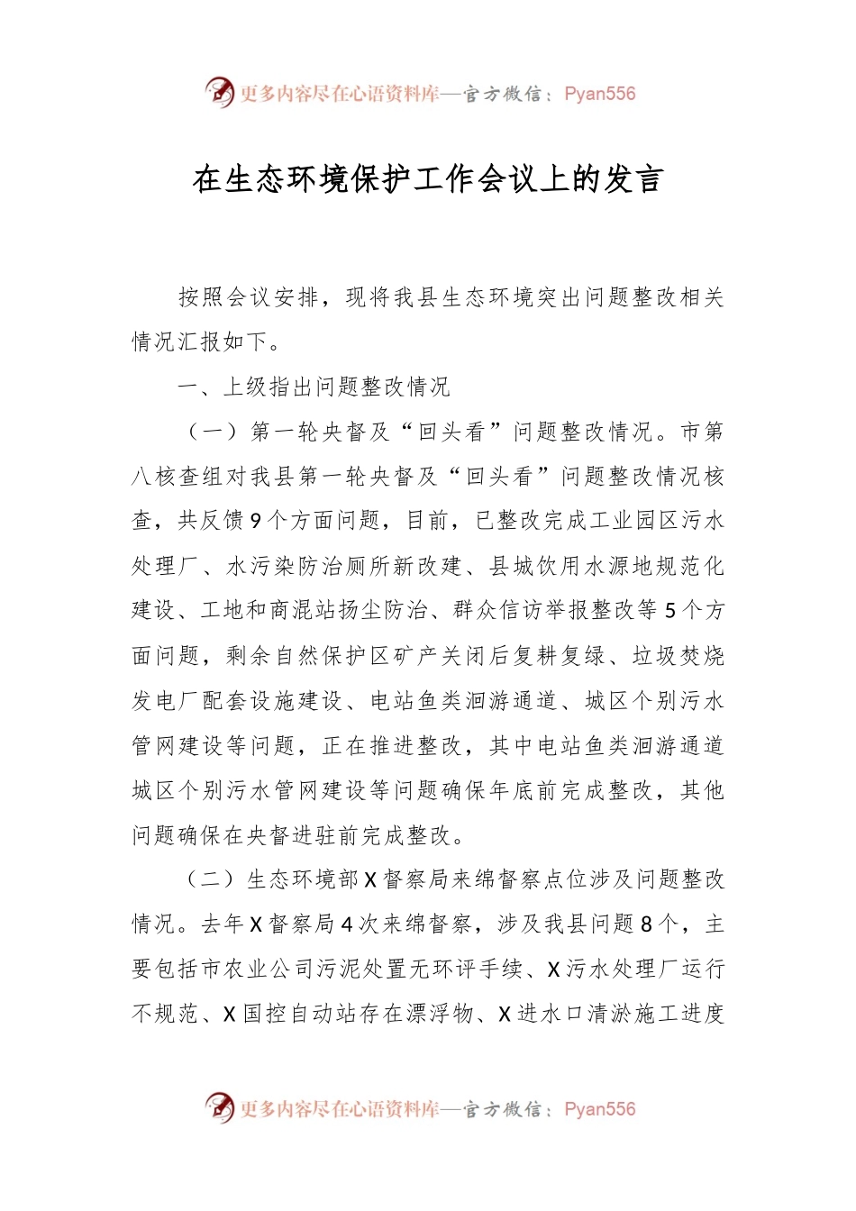 在生态环境保护工作会议上的发言稿.docx_第1页