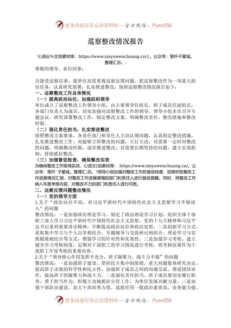 巡察整改情况报告.docx_第1页