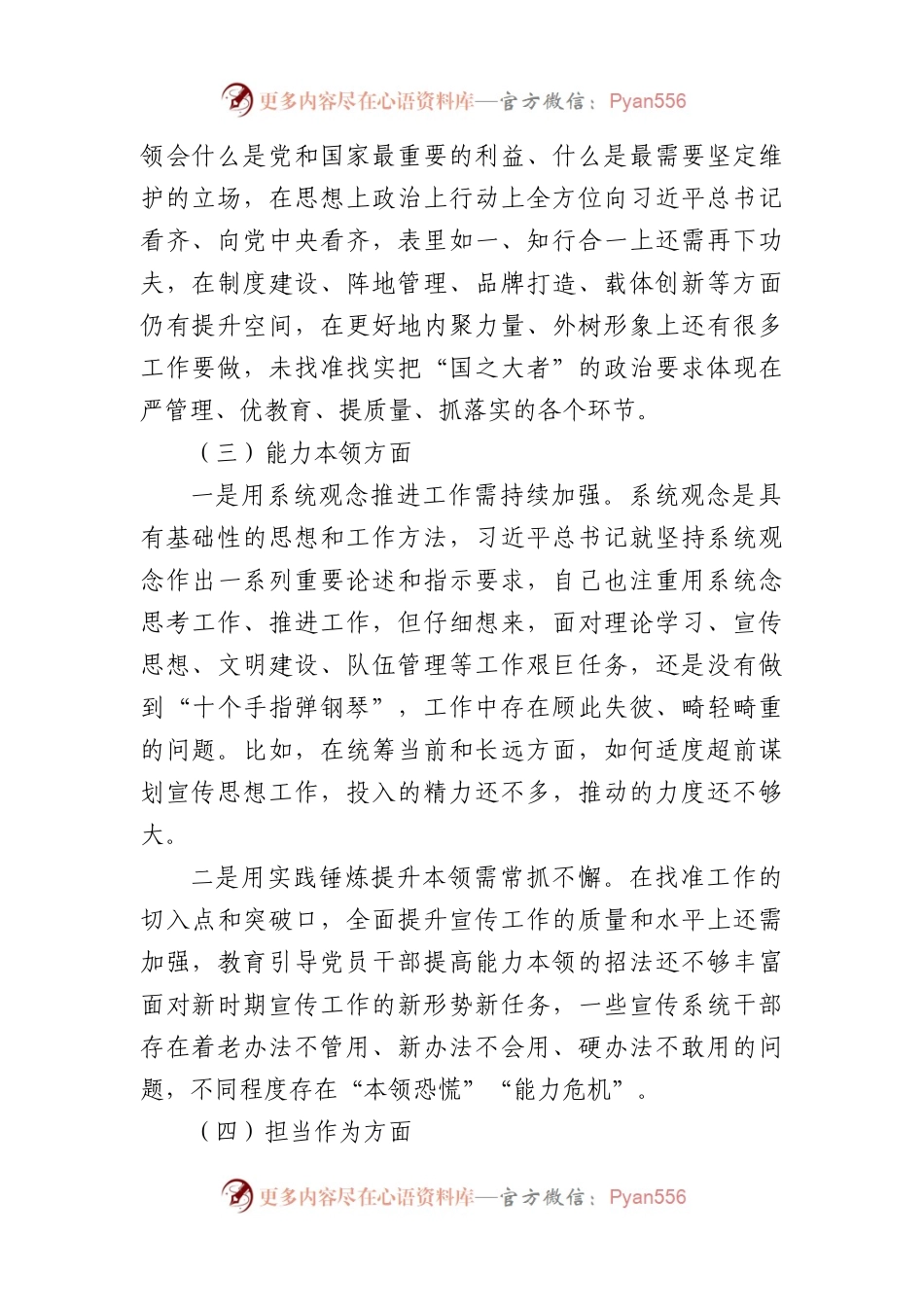 宣传部长2023年主题教育民主生活会领导干部个人发言提纲.docx_第2页