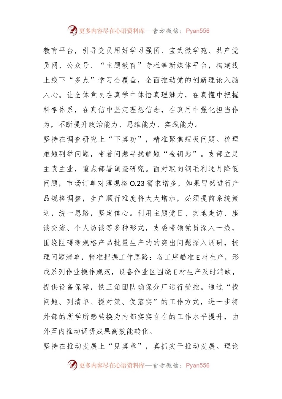 基层党支部主题教育工作案例.docx_第2页