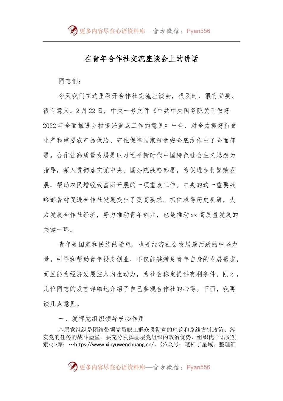 在青年合作社交流座谈会上的讲话.docx_第1页