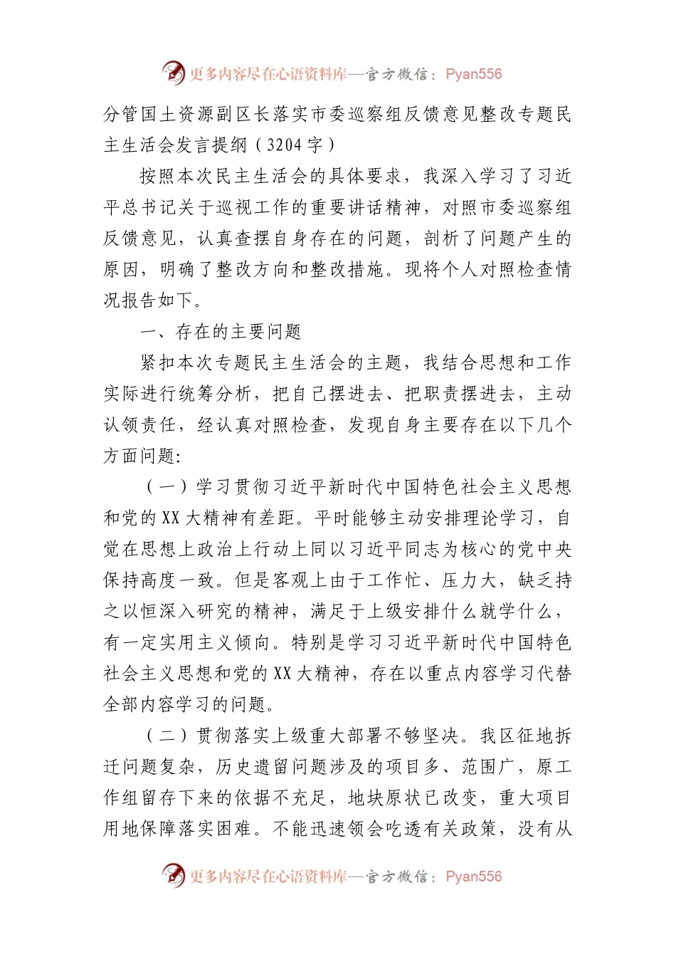 巡察整改专题民主生活会发言提纲.docx_第1页