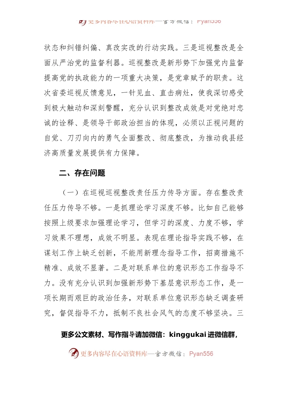 巡视整改专题民主生活会对照检查发言（副县长）.docx_第2页