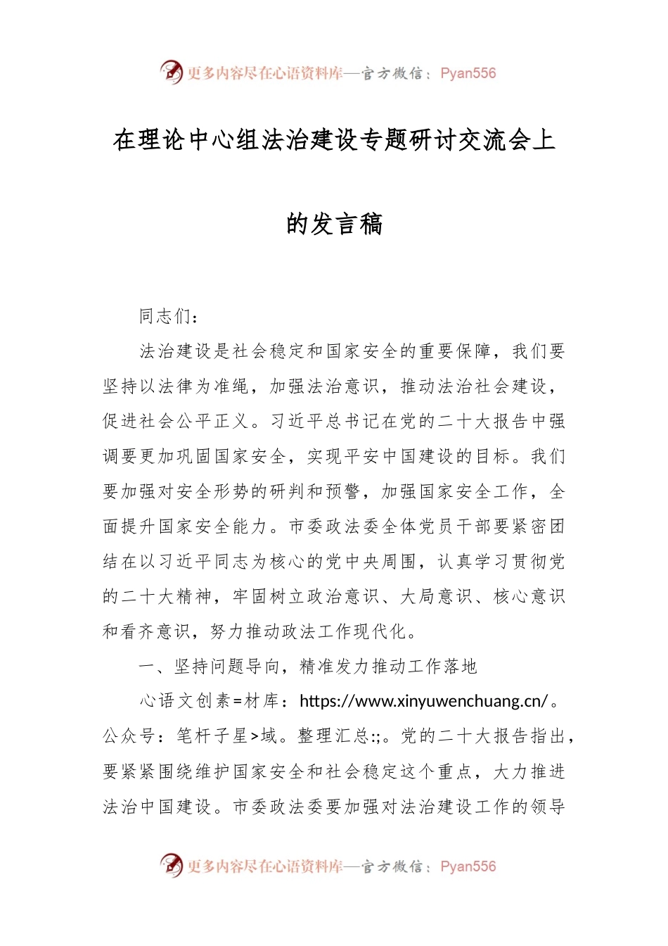 在理论中心组法治建设专题研讨交流会上的发言稿.docx_第1页