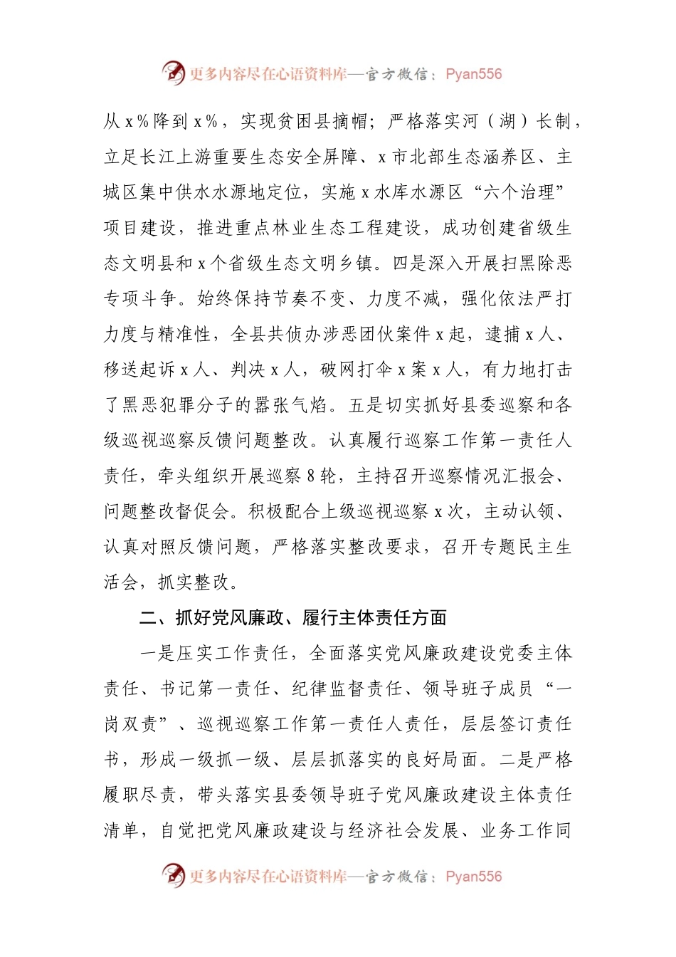 履行全面从严治党主体责任专题报告.docx_第2页