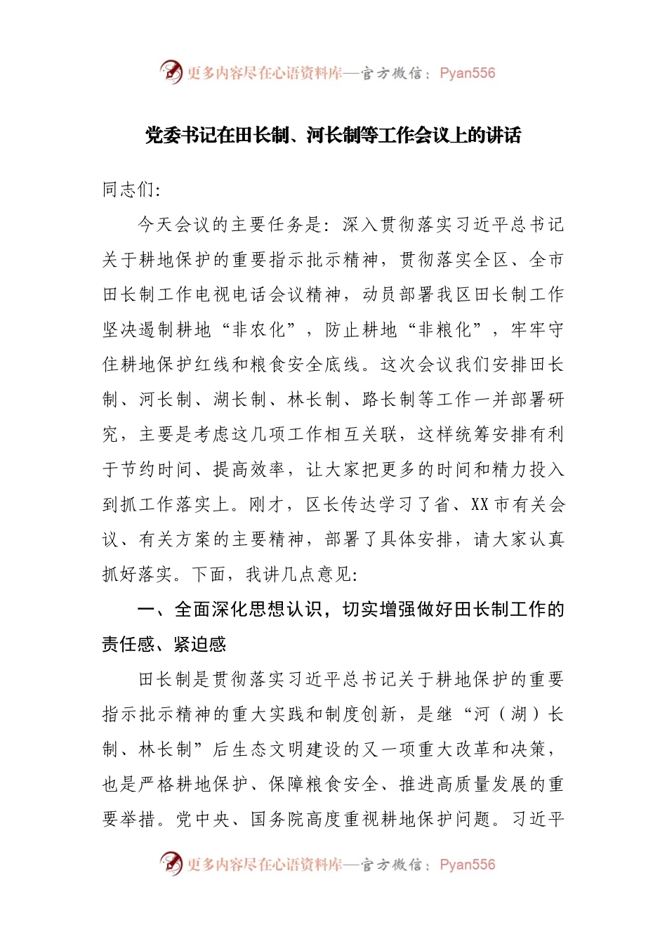 在田长制、河长制等工作会议上的讲话.docx_第1页