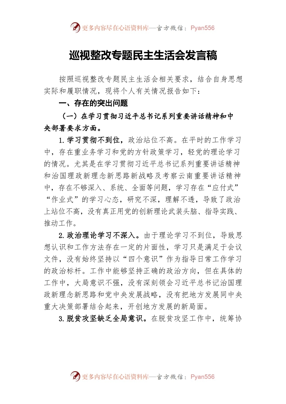 巡视整改专题民主生活会发言稿.docx_第1页