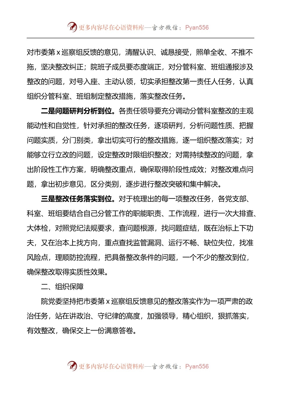 市医院关于巡察组反馈意见整改落实工作方案.docx_第2页