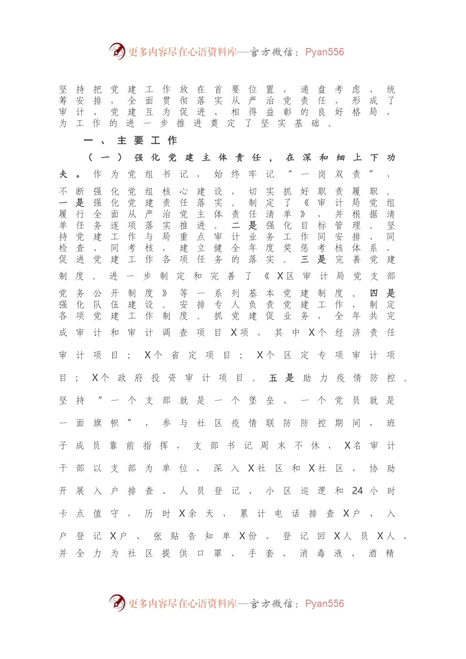 审计局党组书记抓基层党建工作述职报告.docx_第2页
