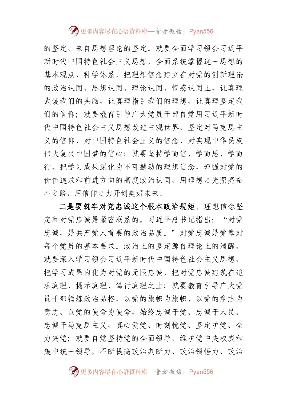 在第二批主题教育工作推进会上的讲话.docx_第2页