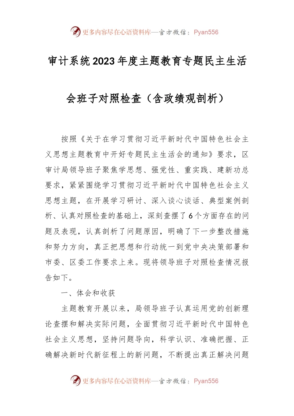 审计系统2023年度主题教育专题民主生活会班子对照检查（含政绩观剖析）.docx_第1页