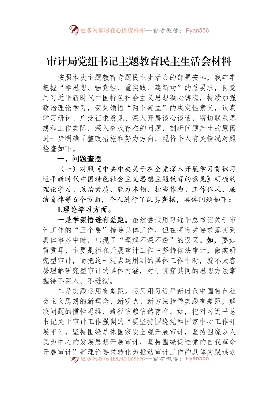 审计局党组书记主题教育民主生活会材料.docx_第1页