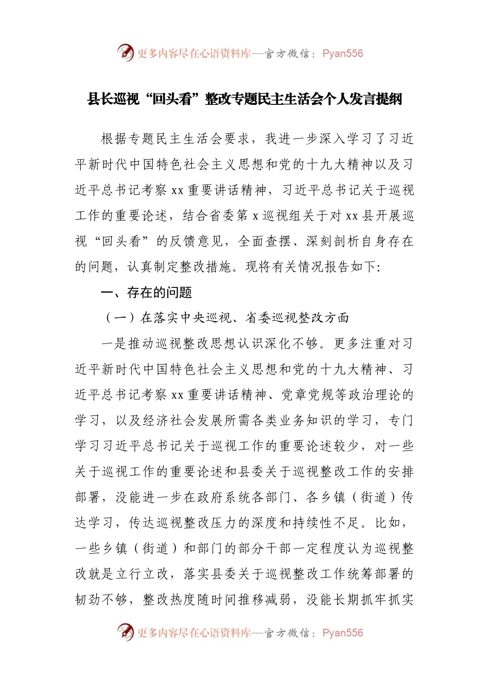 巡视“回头看”整改专题民主生活会主要领导个人发言提纲.docx_第1页
