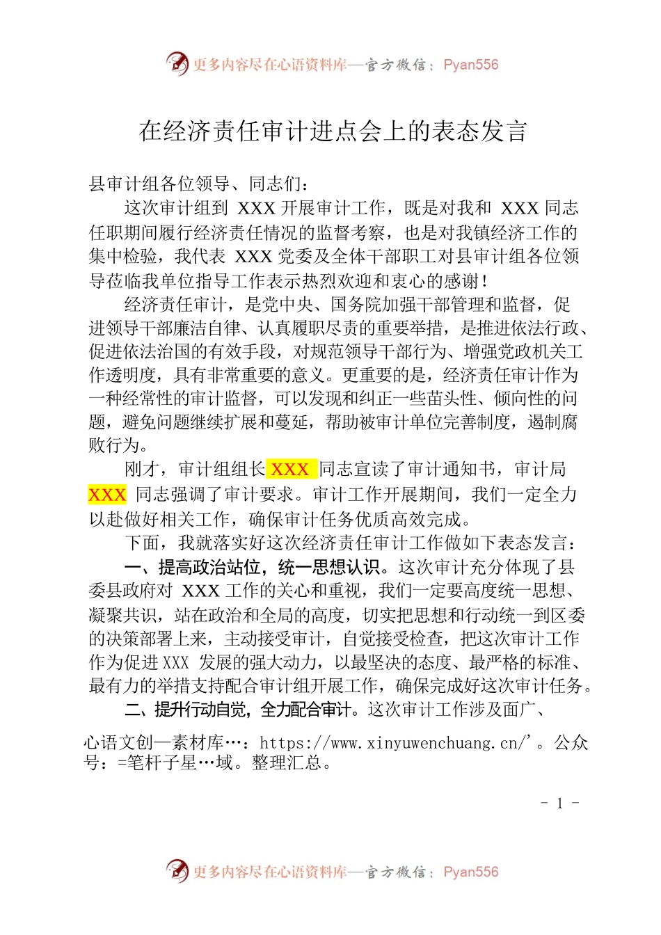 在经济责任审计进点会上的表态发言.docx_第1页