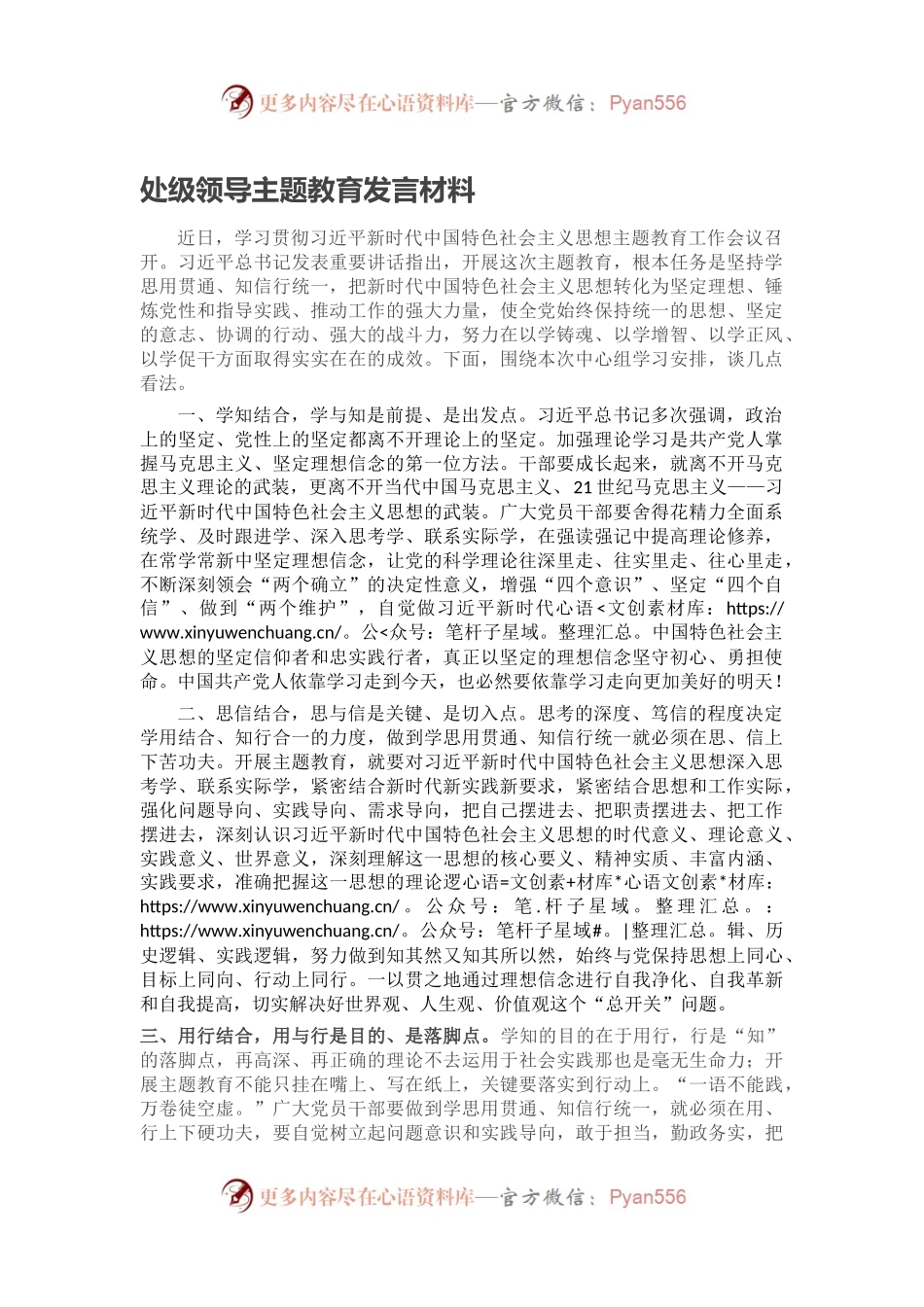 处级领导主题教育发言材料.docx_第1页