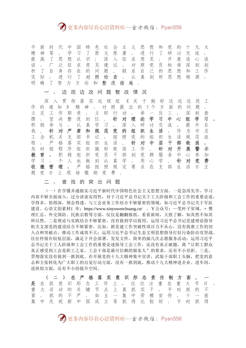 巡察整改个人民主生活会对照检查范文.docx_第2页