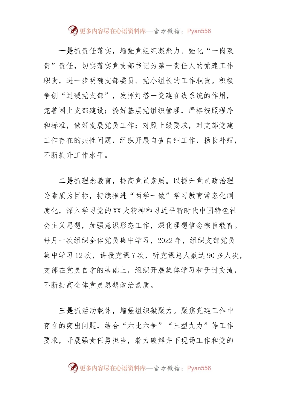 基层党建突破项目：抓实三项措施，树立党员形象.docx_第2页