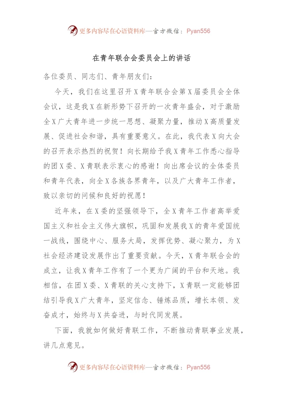 在青年联合会委员会上的讲话.docx_第1页