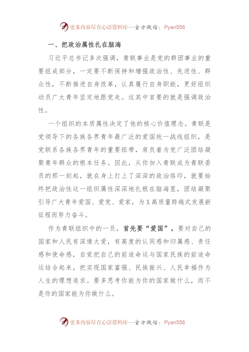 在青年联合会委员会上的讲话.docx_第2页