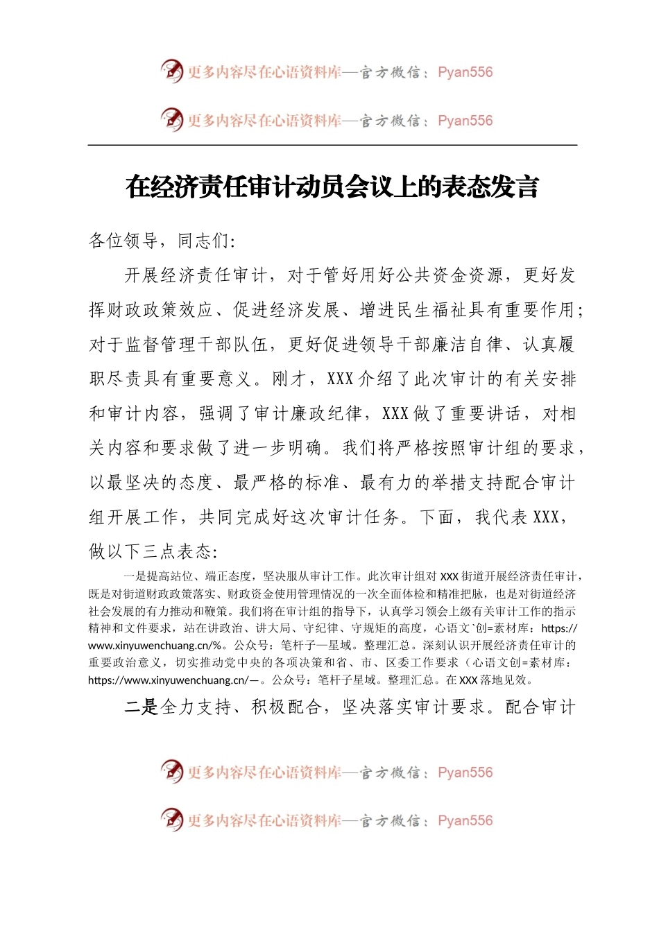 在经济责任审计动员会议上的表态发言.docx_第1页