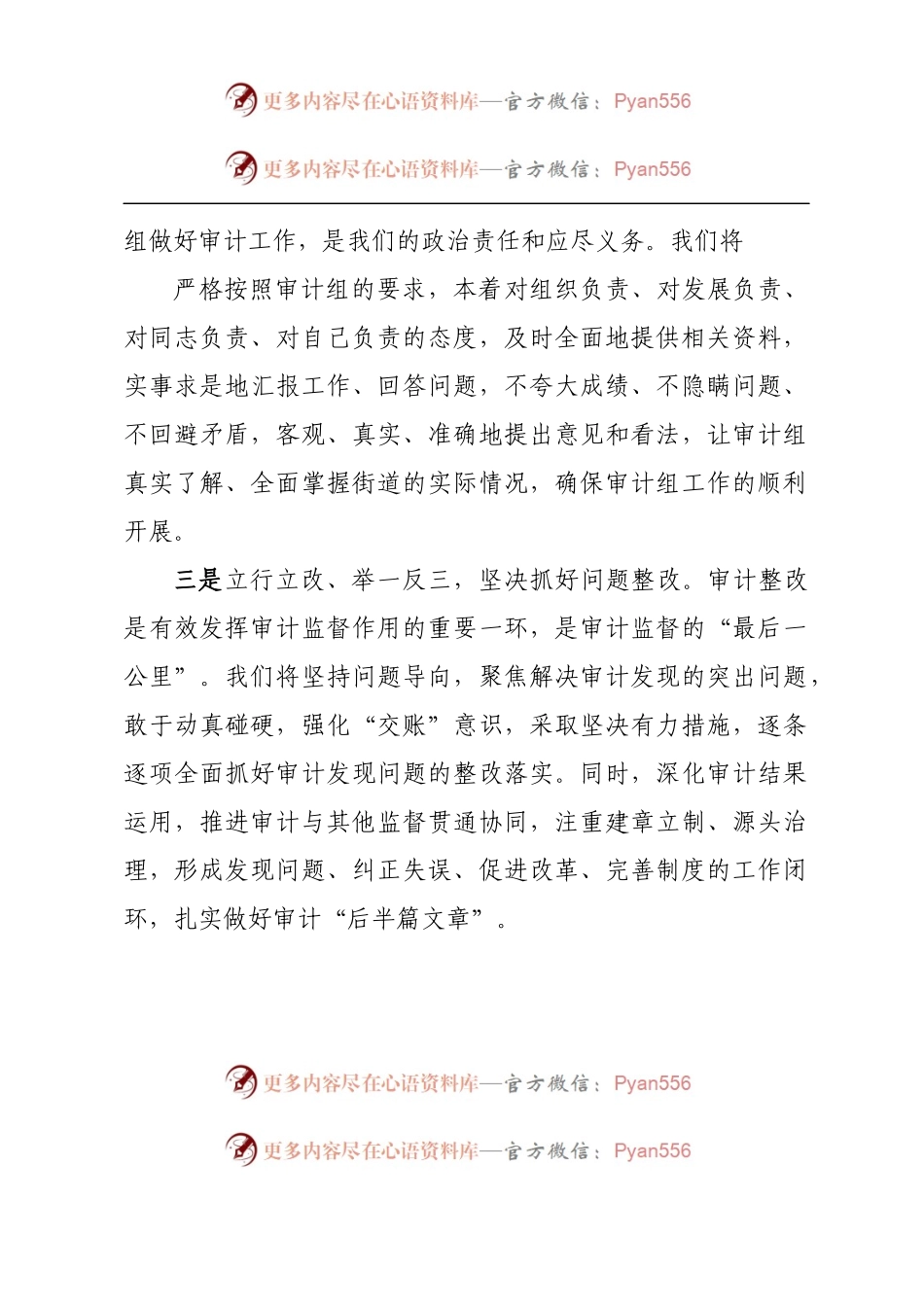 在经济责任审计动员会议上的表态发言.docx_第2页