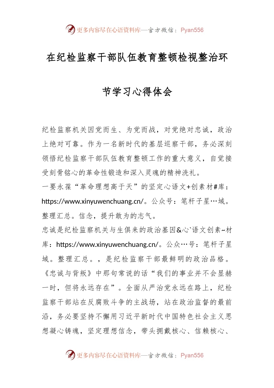 在纪检监察干部队伍教育整顿检视整治环节学习心得体会.docx_第1页