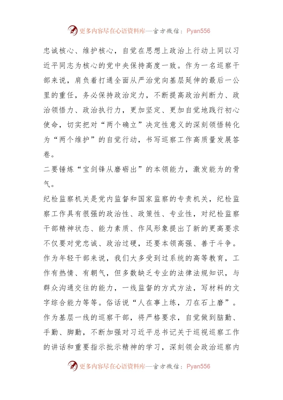 在纪检监察干部队伍教育整顿检视整治环节学习心得体会.docx_第2页