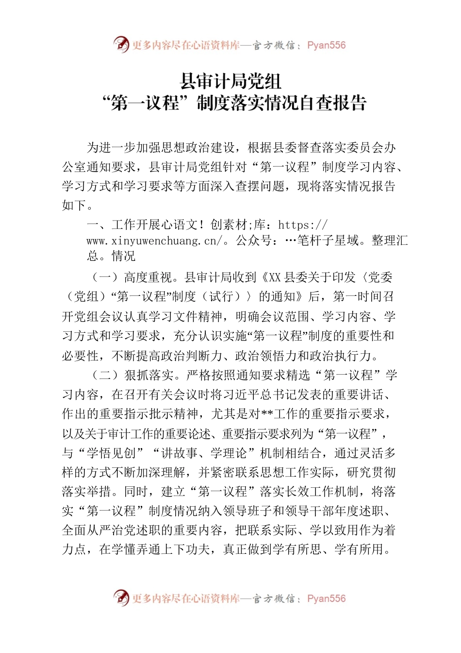 审计局党组“第一议程”制度落实情况自查报告.docx_第1页
