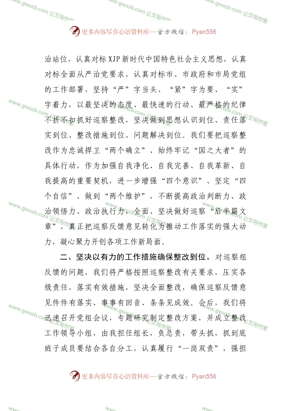 巡察反馈会议上的表态发言.docx_第2页