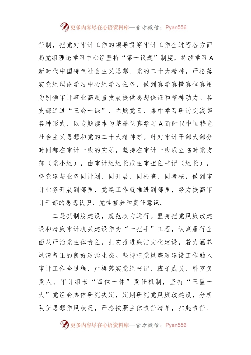 审计局研讨发言：以清廉机关建设强力推动审计工作高质量发展.docx_第2页