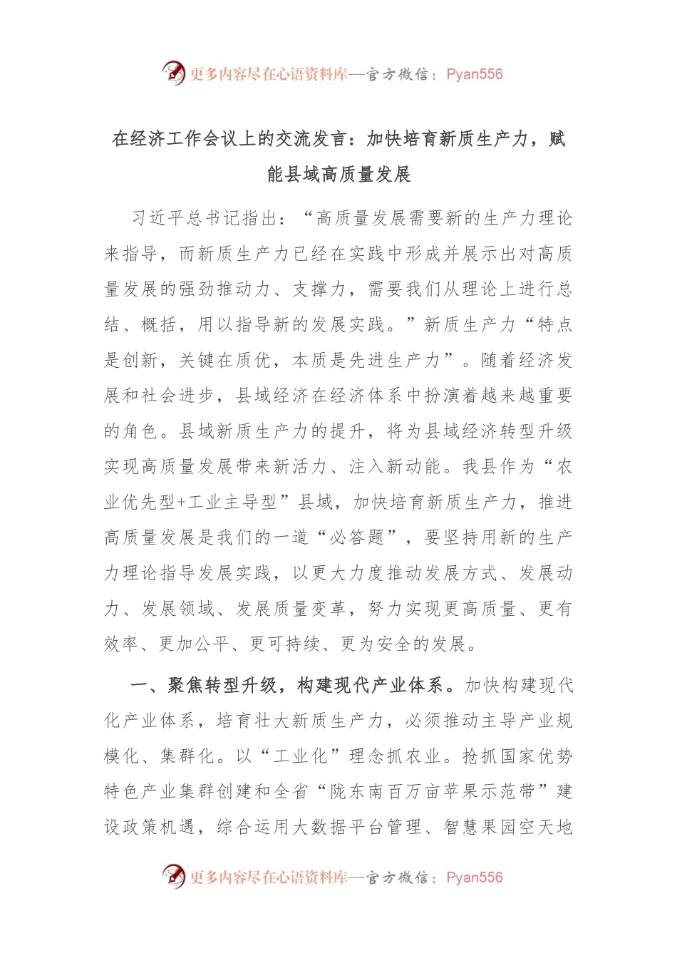 在经济工作会议上的交流发言：加快培育新质生产力，赋能县域高质量发展.docx_第1页