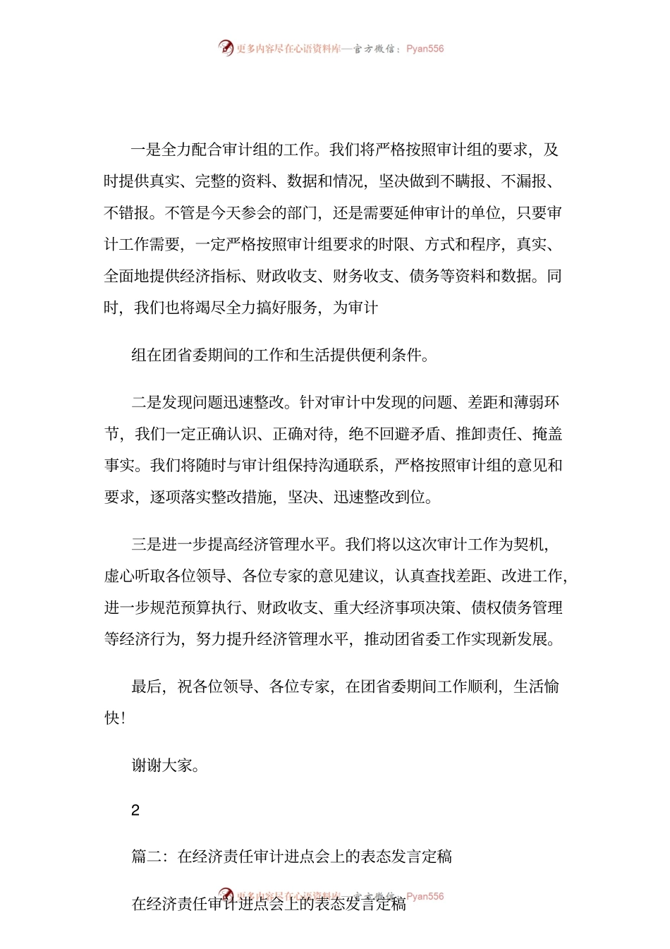 审计工作表态发言.docx_第2页