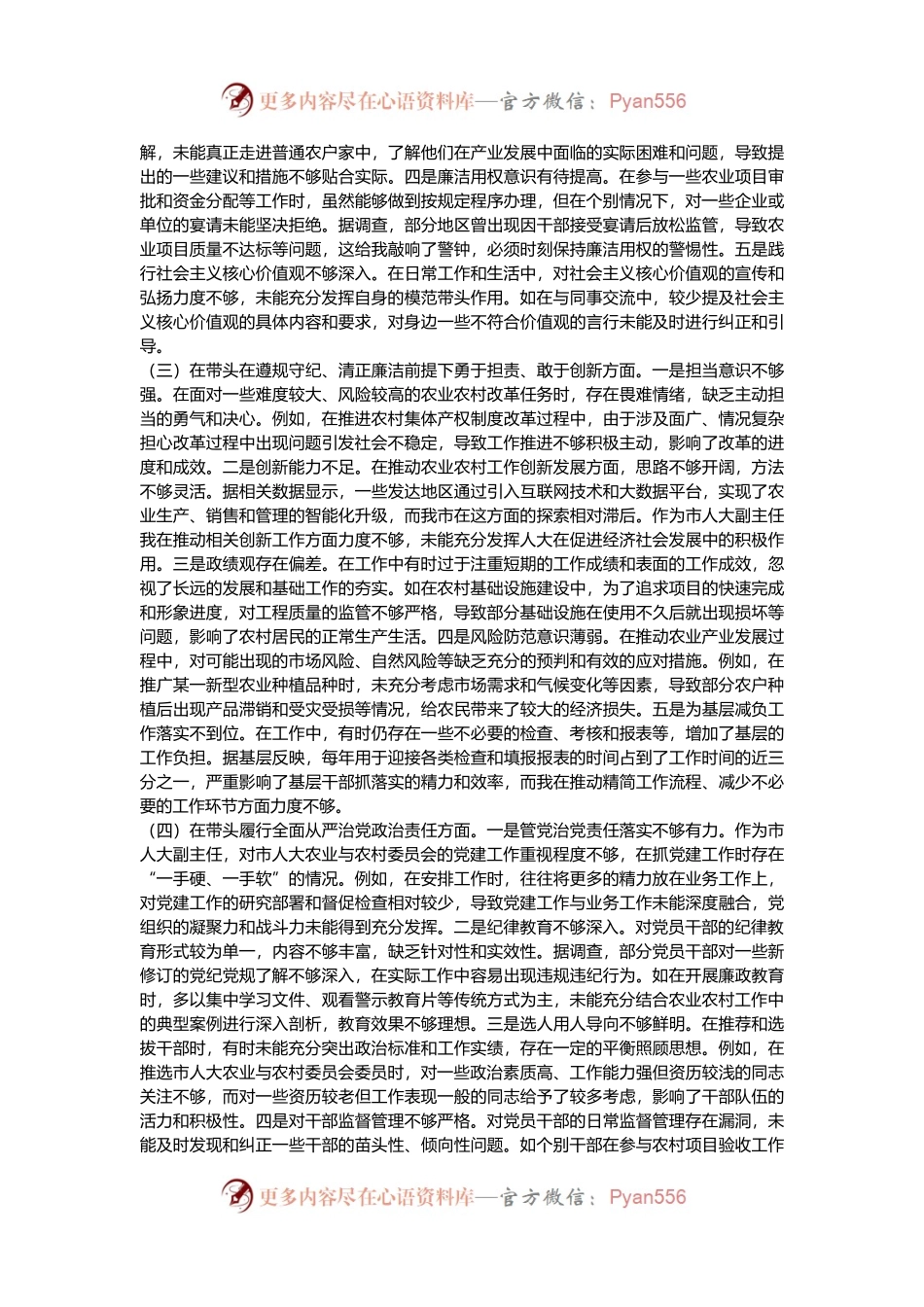 市人大分管农业与农村委员会副主任关于2024年度民主生活会个人对照检视材料（4+1）.docx_第2页
