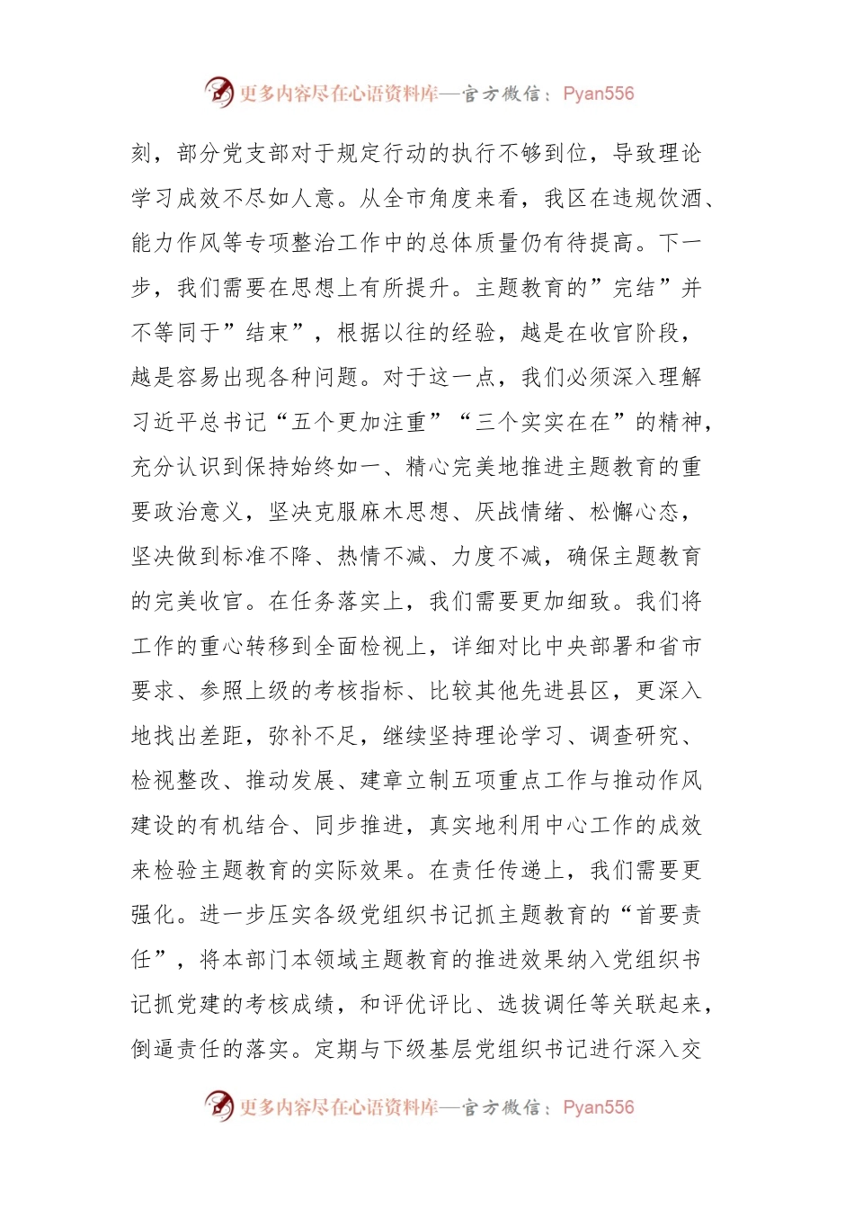 巩固主题教育成果工作座谈会上的讲话稿.docx_第2页