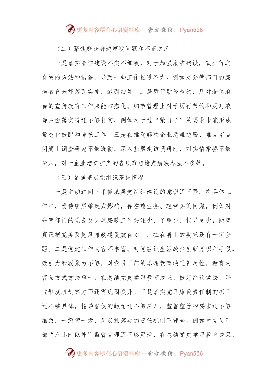 巡察整改专题民主生活会个人对照检查材料（4）.docx_第2页