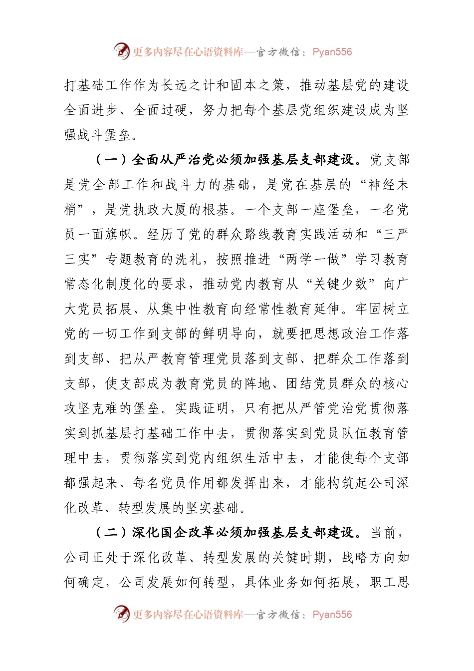 基层党支部建设讲稿（范文）.docx_第2页
