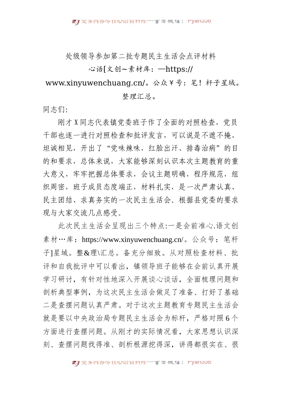 处级领导参加第二批专题民主生活会点评材料.docx_第1页