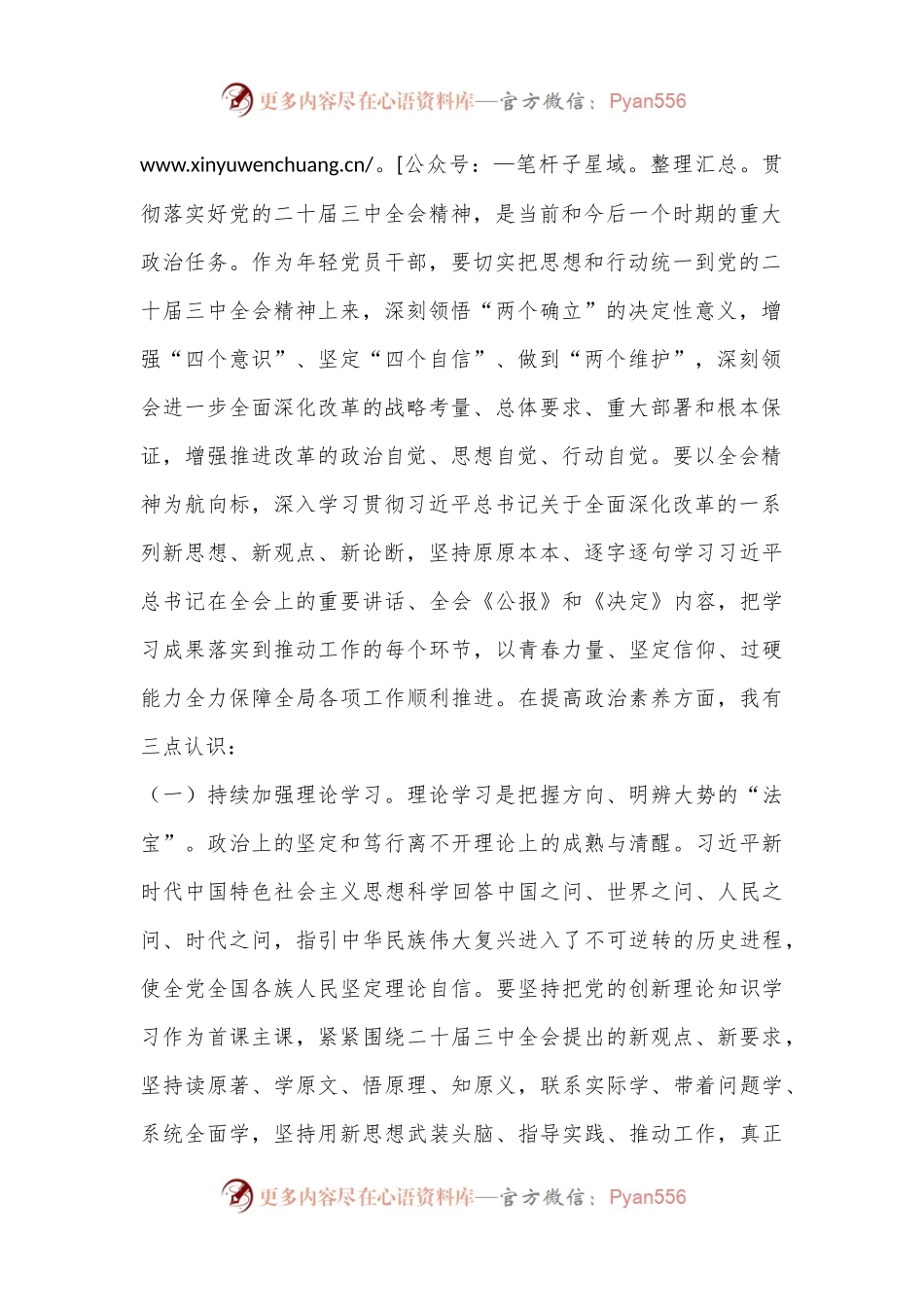 在青年理论学习小组党的二十届三中全会精神专题学习研讨会上的交流发言.docx_第2页