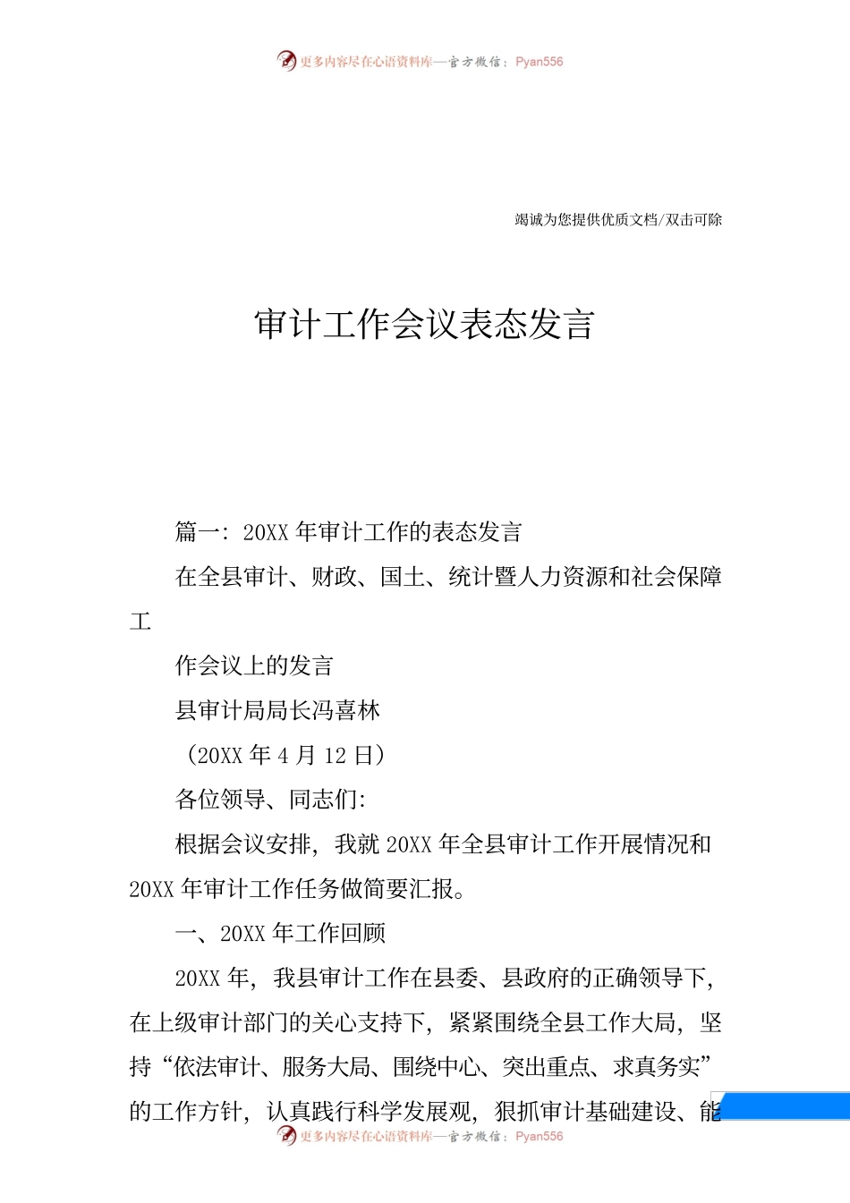 审计工作会议表态发言.docx_第1页