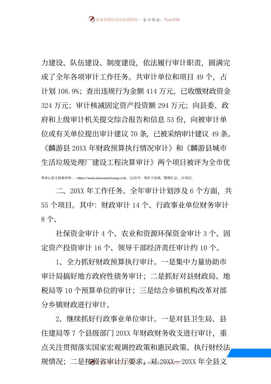 审计工作会议表态发言.docx_第2页