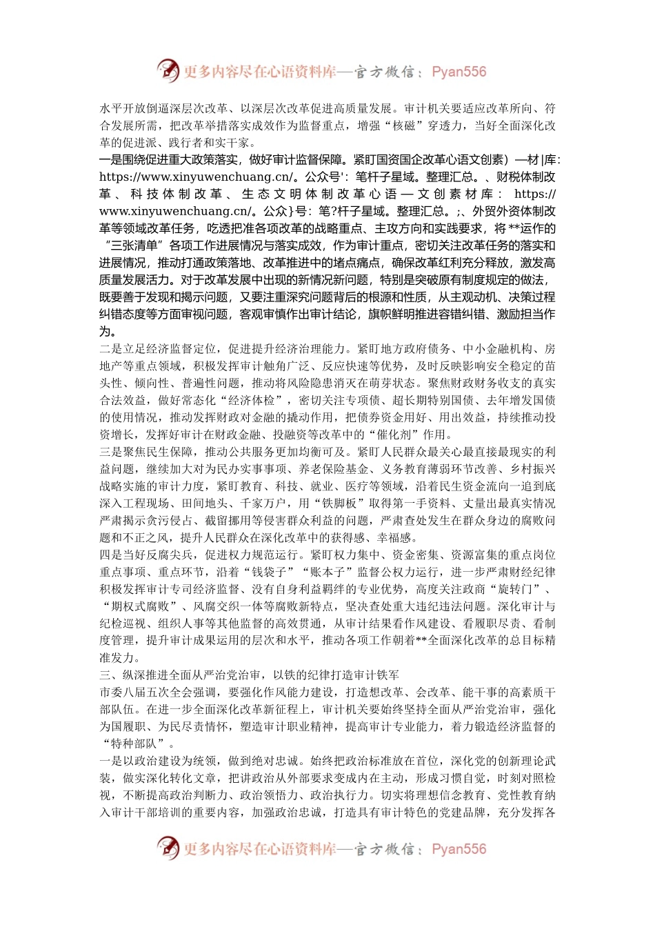 局长在审计局党组理论学习中心组集体学习会上的研讨交流发言.docx_第2页