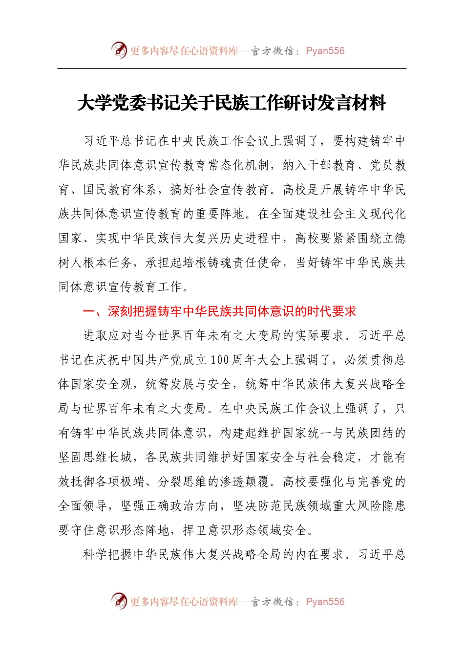 大学党委书记关于民族工作研讨发言材料.docx_第1页